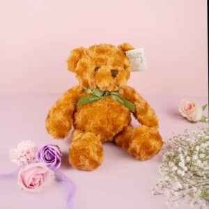 My Brown Teddy Bear
