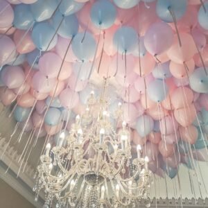 Basic 50 Pastel Macaron Latex Balloons
